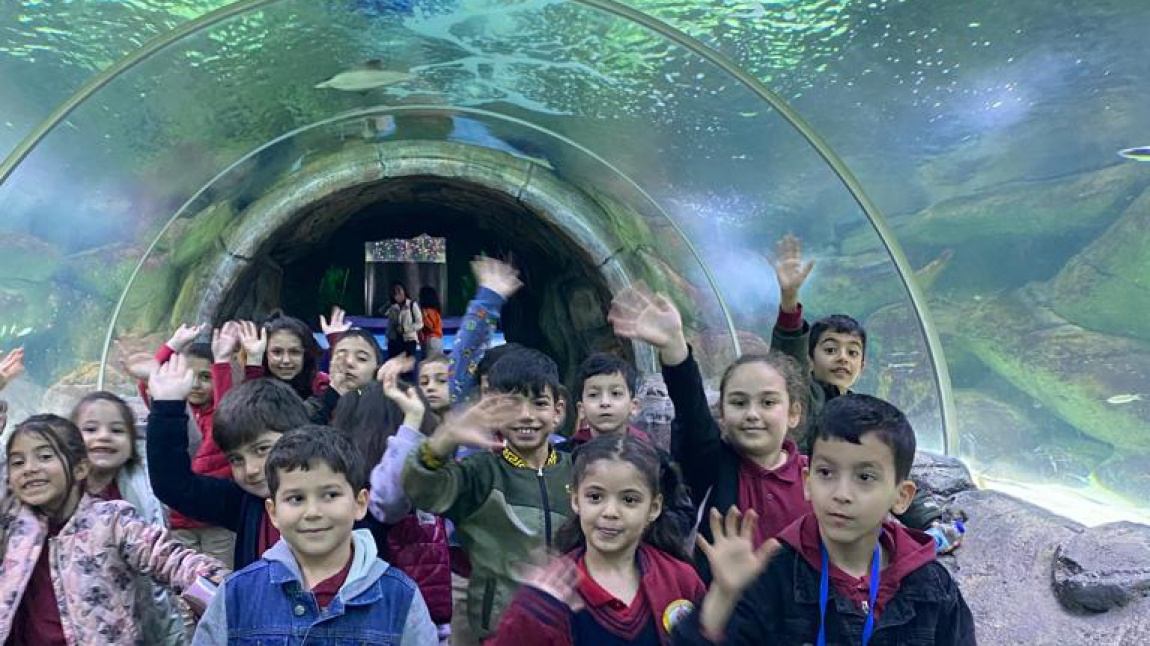Akvaryum ve Doğal Hayvan Parkı Gezisi